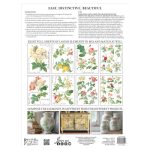 Rose Botanical IOD Transfers